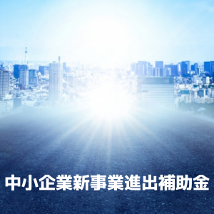 中小企業新事業進出補助金